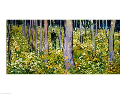vincent van gogh undergrowth